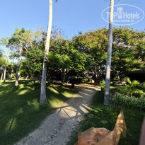 фото из отзыва ID 2736256