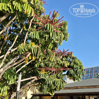 фото из отзыва ID 2736256