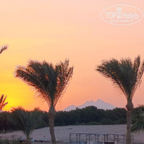 фото из отзыва ID 2736263