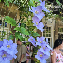 фото из отзыва ID 2736256