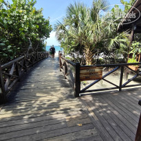 фото из отзыва ID 2736256