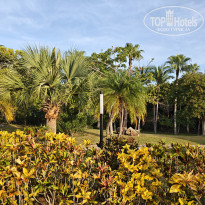 фото из отзыва ID 2736256