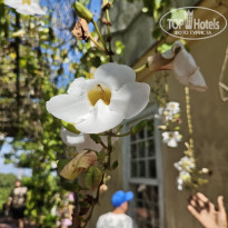 фото из отзыва ID 2736256