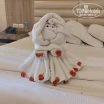 фото из отзыва ID 2733374