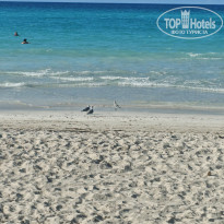 фото из отзыва ID 2736256