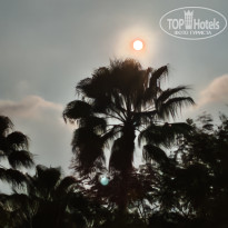 фото из отзыва ID 2736256