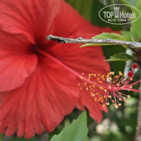 фото из отзыва ID 2736256