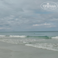 фото из отзыва ID 2736256