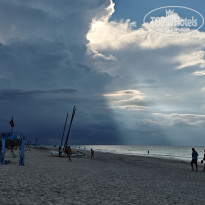 фото из отзыва ID 2736256