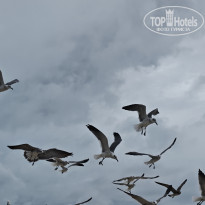 фото из отзыва ID 2736256