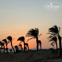 фото из отзыва ID 2736295