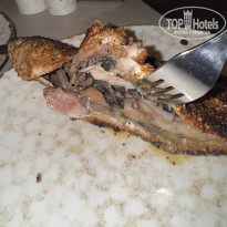 фото из отзыва ID 2736307