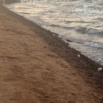 фото из отзыва ID 2736307