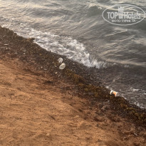 фото из отзыва ID 2736307