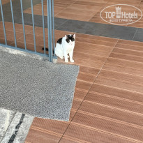 фото из отзыва ID 2736309