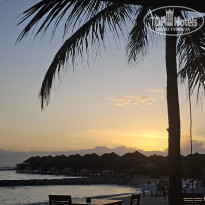 фото из отзыва ID 2736328