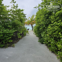 фото из отзыва ID 2736328