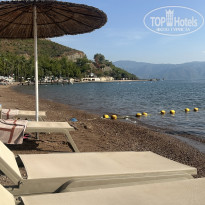 фото из отзыва ID 2736333