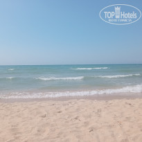 фото из отзыва ID 2736334