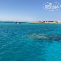 фото из отзыва ID 2736348