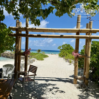 фото из отзыва ID 2736363