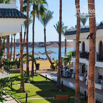 фото из отзыва ID 2736354