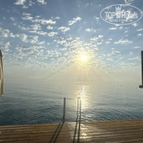 фото из отзыва ID 2736382