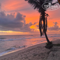 фото из отзыва ID 2736399