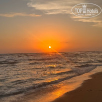 фото из отзыва ID 2736399