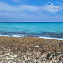 фото из отзыва ID 2736385