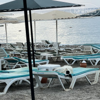 фото из отзыва ID 2736423