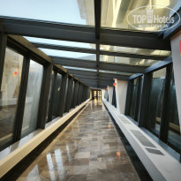 фото из отзыва ID 2736413