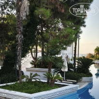 фото из отзыва ID 2736413