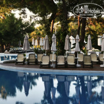 фото из отзыва ID 2736413