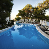 фото из отзыва ID 2736413