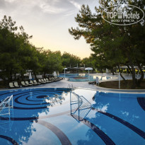 фото из отзыва ID 2736413