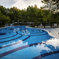 фото из отзыва ID 2736413