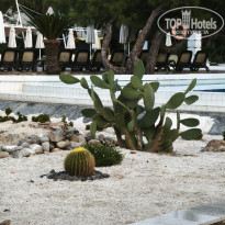 фото из отзыва ID 2736413