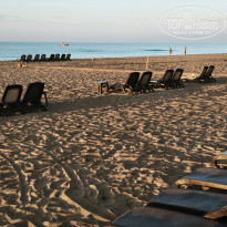 фото из отзыва ID 2736413