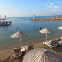 фото из отзыва ID 2736386