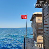 фото из отзыва ID 2736442