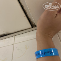 фото из отзыва ID 2736444