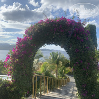 фото из отзыва ID 2736458