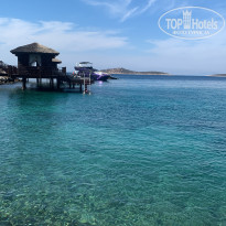 фото из отзыва ID 2736458