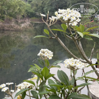 фото из отзыва ID 2736456