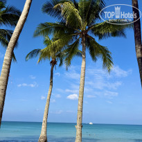 фото из отзыва ID 2736456