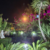 фото из отзыва ID 2736461