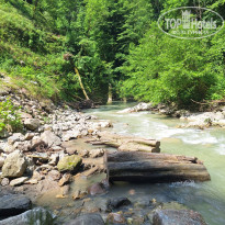 фото из отзыва ID 2736471