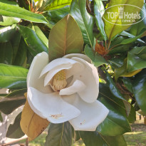 фото из отзыва ID 2736471