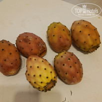 фото из отзыва ID 2736379